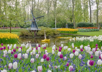 Keukenhof