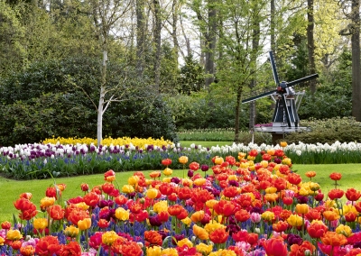 Keukenhof