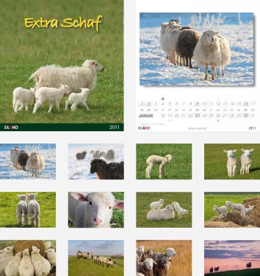 Postkartenkalender Extra Schaf 2011