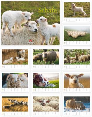 Schafkalender 2011