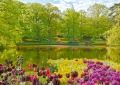 Keukenhof