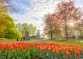 Keukenhof