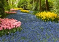 Keukenhof