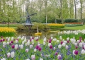 Keukenhof