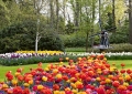 Keukenhof